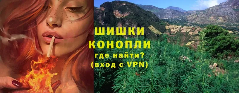 Бошки Шишки White Widow  наркота  Богданович 